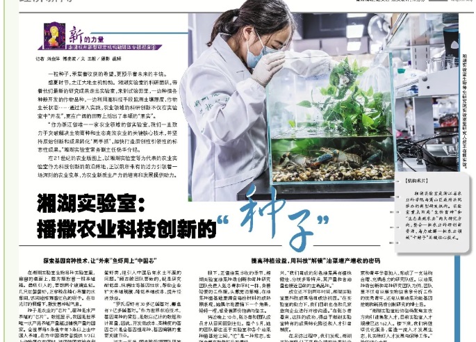 2024海归小镇·传化科技城科创生态大会举行 湘湖实验室主任李培武院士作《现代农业与科技创新》主旨演讲